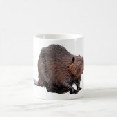孤立した北米ビーバー コーヒーマグカップ (中央)