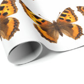 孤立した小さなカメの蝶 ラッピングペーパー (ロールコーナー)