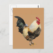 孤立した雄鶏 ポストカード (正面/裏面)
