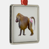 孤立バブーン歩くはがきスクエアのシール メタルオーナメント (右)