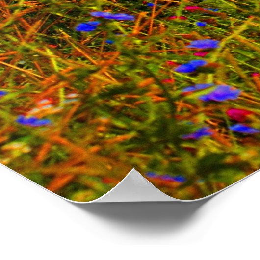 孤立 ポスター (角)