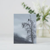 孤高のカラス ポストカード (スタンド正面)