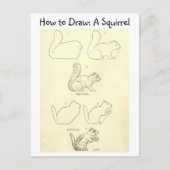 学リスとチップマンクの描き方 ポストカード (正面)