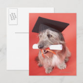 学位帽と卒業証書を持つ犬 ポストカード (正面/裏面)
