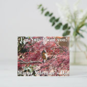 学校のためのバレンタインデーカード シーズンポストカード (スタンド正面)