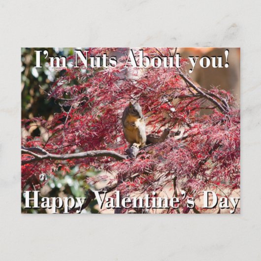 学校のためのバレンタインデーカード シーズンポストカード (正面)