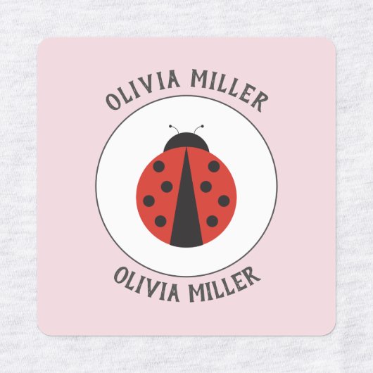 学校のキャンプ保育園のためのラディバグのラベルのアイロン ラベル (デザイン2)