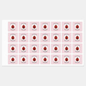 学校のキャンプ保育園のためのラディバグのラベルのアイロン ラベル (シート)