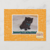 学校の初日 ポストカード (正面)