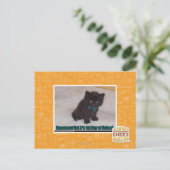 学校の初日 ポストカード (スタンド正面)