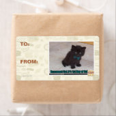 学校の初日 ラベル (インサイチュ)