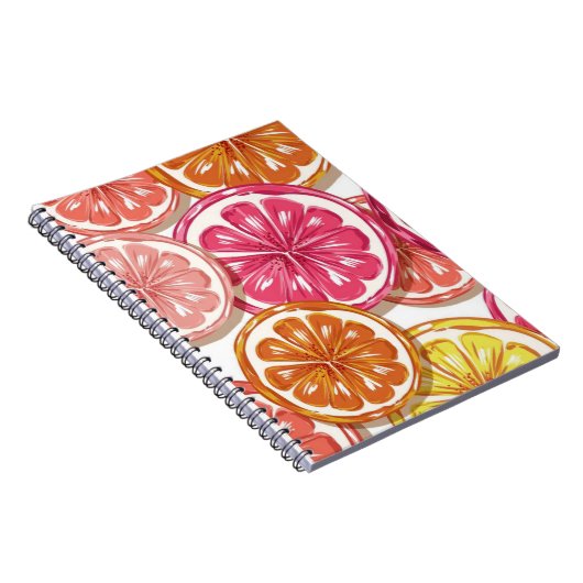 学校の本ではない ノートブック (右側)