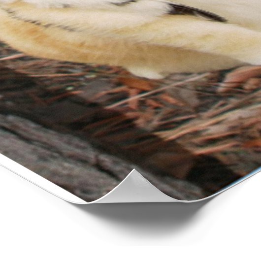 学校の規則に従う。 ポスター (角)