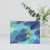 学校は出た！ ポストカード (スタンド正面)