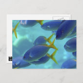 学校は出た！ ポストカード (正面/裏面)