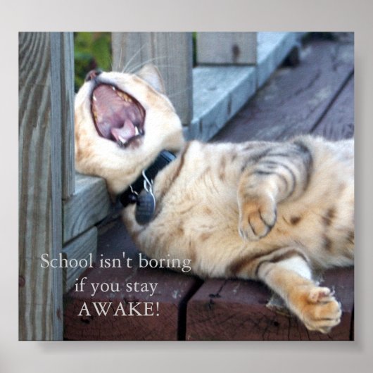 学校は退屈ではない ポスター (正面)