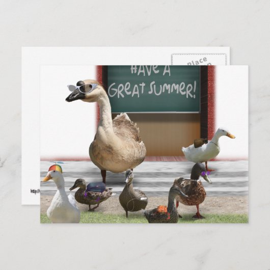 学校を出て、先生ガチョウの小さなアヒル ポストカード (正面/裏面)