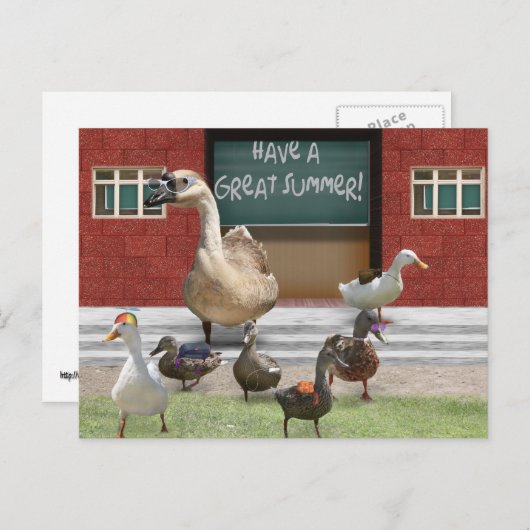 学校を出て、先生ガチョウの小さなアヒル ポストカード (正面/裏面)