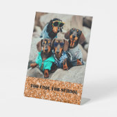 学校クールのダシュント集団 台座サイン (正面)