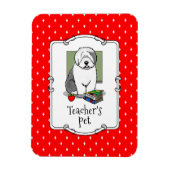 学校先生オールド英語シェプドッグ（グレー1）かわいい マグネット (縦)