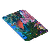 学校教育おとぎ話バスレット(Pudanthias) マグネット (右側)