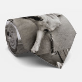 学校日 ネクタイ (ロール)