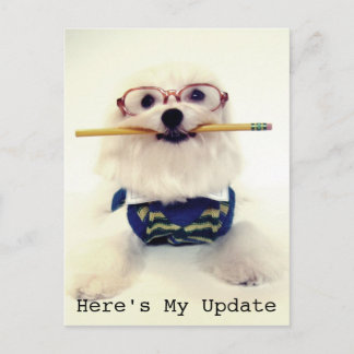 学生から保護者へ ポストカード