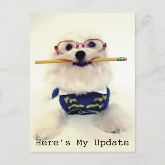 学生から保護者へ ポストカード (正面)