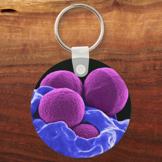 学生のための生物学の生物学のギフト先生 キーホルダー (正面)