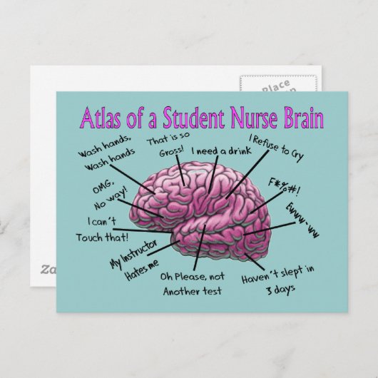 学生のナースギフト ポストカード (正面/裏面)