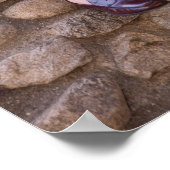 学生読の本と石垣に座る ポスター (角)