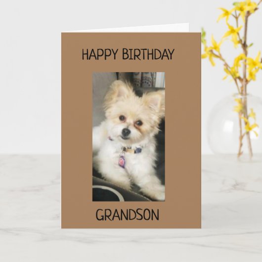 孫に誕生日!カード カード (黄色い花)