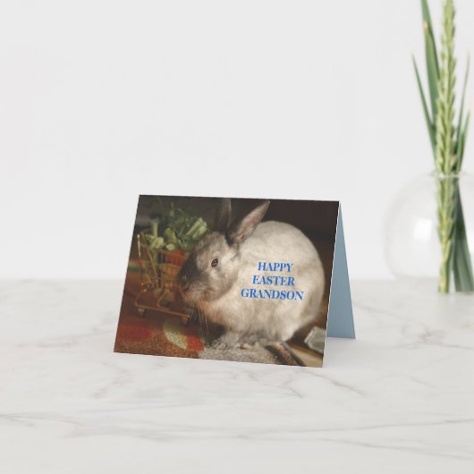孫のためのイースターバニーカード サンキューカード (正面)