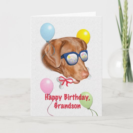 孫の誕生日とラブラドール犬 カード (正面)