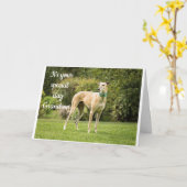 *孫の誕生日* 「幸せ」カード カード (黄色い花)