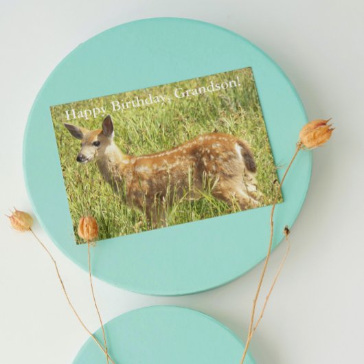 孫の鹿の子鹿の野生動物の誕生日 カード