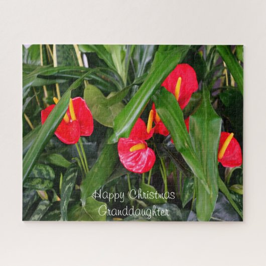 孫娘へのクリスマスプレゼント。 ジグソーパズル (横)