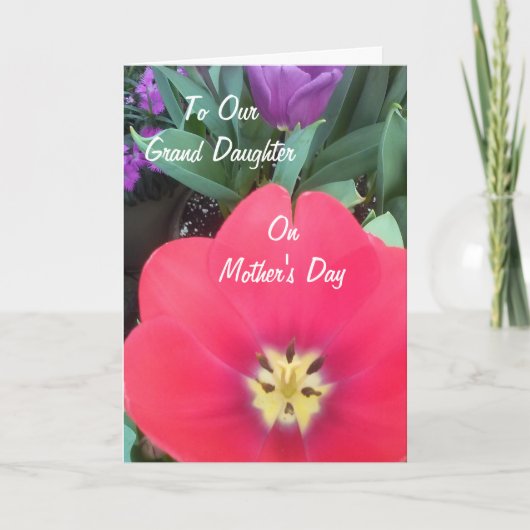 孫娘へ カード (正面)