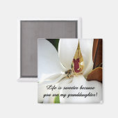 孫娘ラブ マグネット (正面/裏面)