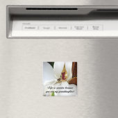 孫娘ラブ マグネット (インサイチュ (食洗機))