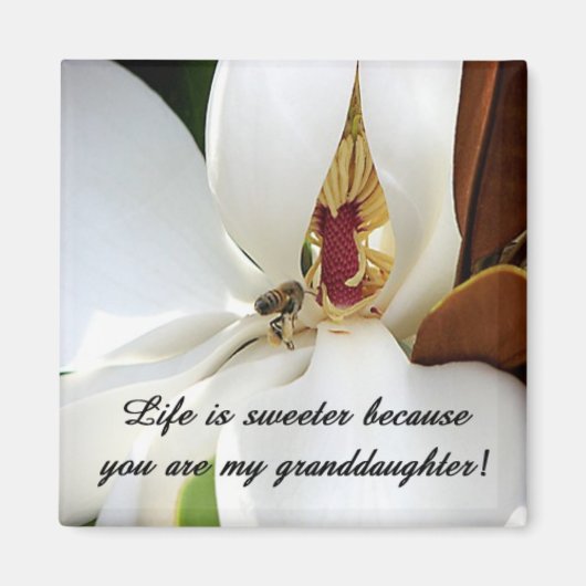 孫娘ラブ マグネット (正面)