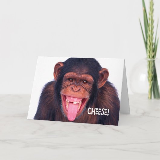 孫娘1stルースティース カード (正面)