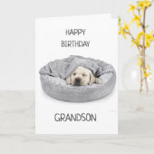 孫誕生日!カード カード (黄色い花)