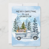 孫青トラックのクリスマスツリーと動物 (正面)