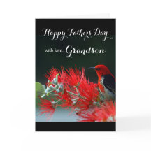 孫/父の幸せな日 – 緋色の本眼鏡屋