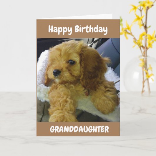 **孫**誕生日 カード (黄色い花)