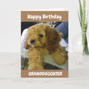 **孫**誕生日 カード