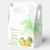 孵化すぐに水色の緑のベビー恐竜 フェイバーボックス (オープン)