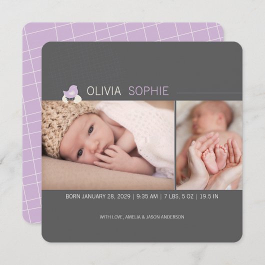 孵化卵ひよこ女の子の写真ベビー発表 案内状 (正面/裏面)