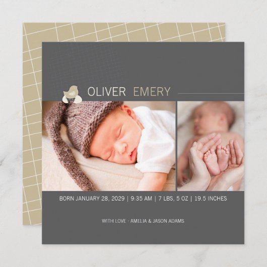 孵化卵ベビー雛の写真誕生のお知らせ 案内状 (正面/裏面)